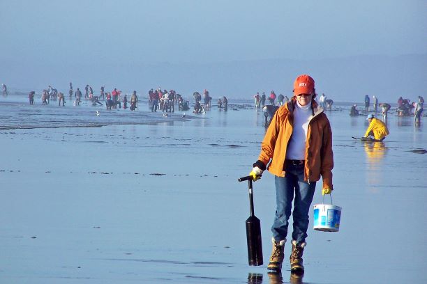 Dig in Seabrook Clam Digging in Seabrook
